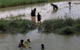 Pakistan kêu gọi thế giới giúp khắc phục hậu quả đợt lũ lụt lịch sử do biến đổi khí hậu
