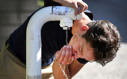 'Vùng đất của nước' Hà Lan tuyên bố thiếu nước cục bộ