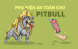 Trang bị an toàn cho pitbull