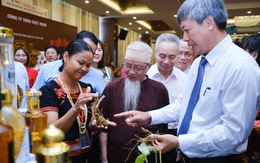 'Quốc bảo' sâm Ngọc Linh - giấc mơ tỉ đô