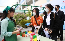 Năm 2023, toàn thành phố Đà Nẵng tiến hành phân loại rác