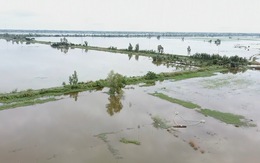 Mực nước sông Tiền, sông Hậu đang dâng cao hơn năm ngoái