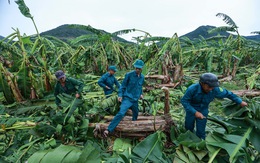 Những bài học sau bão Noru