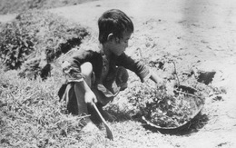 Hạn hán - mầm mống đói kém và hủy diệt - Kỳ 3: Trận đại hạn chết người khủng khiếp ở Trung Quốc