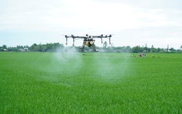 Công bố tiêu chuẩn phun thuốc bảo vệ thực vật bằng thiết bị bay không người lái