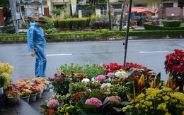 Mưa gió liên tục, chợ hoa Tết Quảng Ngãi đìu hiu