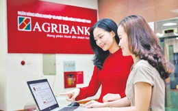 Agribank khẳng định thương hiệu bằng những giải thưởng uy tín