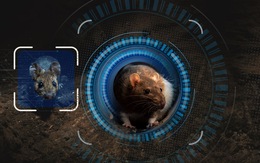 Dùng công nghệ nhận diện khuôn mặt để tiêu diệt chuột