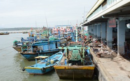 Đang tìm kiếm ngư dân mất tích khi lặn ở vùng biển Bình Thuận