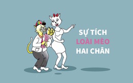 Sự tích loài mèo hai chân