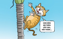 Con mèo trèo cây cau, đụng chú chuột gia thế khủng