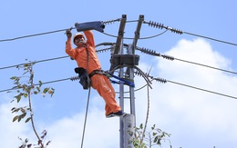 Điện lực miền Nam: Dòng điện 'chạy an toàn, đầy đủ trong dịp Tết Nguyên đán