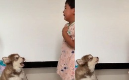 Cô chủ bực bội khi chó cưng bắt chước khóc theo mình