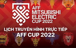 Lịch trực tiếp bán kết lượt về AFF Cup 2022: Việt Nam - Indonesia