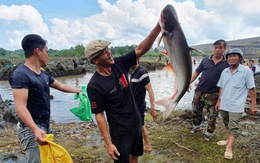 'Trẩy hội' bắt cá dưới chân đập Trị An, trúng mánh 'thủy quái' nặng hơn 10kg