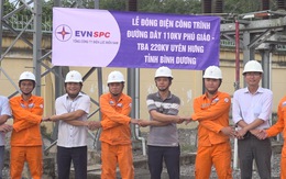 Đường dây điện mới – Động lực mới, giúp Bình Dương xây dựng thành phố thông minh