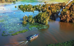 Kiến nghị lập thêm 5 chốt bảo vệ Vườn quốc gia Tràm Chim