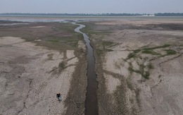 Báo động sông Amazon và sông Nile khô cạn