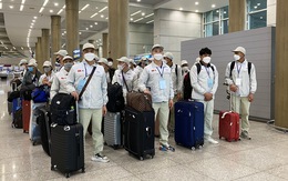 19 lao động thời vụ từ Lâm Đồng đi Hàn Quốc bỏ trốn