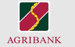 Agribank Chi nhánh Phú Nhuận tuyển dụng: Vị trí Tín dụng và vị trí Văn thư