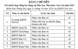 Kho bạc Nhà nước Gia Lai xét tuyển 9 nhân viên