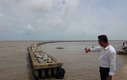 Dự án chống sạt lở bờ biển Kiên Giang giúp hơn 90.000 hộ dân hưởng lợi