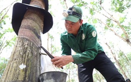 VRG và Quân khu 5 sơ kết 10 năm ký kết Quy chế phối hợp