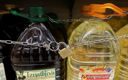 Siêu thị Tây Ban Nha phải 'xích' những chai dầu ô liu vì lý do khó ngờ