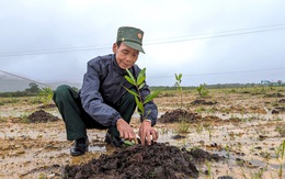 'Chiến dịch Hồ Chí Minh' giữa thời bình và chuyện đất chết hồi sinh