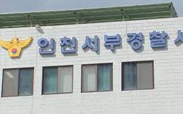 Tòa án Hàn Quốc tuyên vô tội 2 tiếp viên hàng không vận chuyển tinh dầu cần sa
