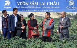 Liên kết '4 nhà' trong phát triển và xây dựng sâm Lai Châu