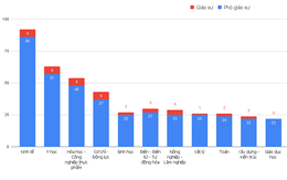Tân giáo sư, phó giáo sư năm 2023: Ngành kinh tế áp đảo