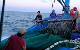 Quảng Ngãi đề xuất cấm đánh bắt có thời hạn 5 khu vực biển ven bờ