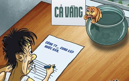 Cá vàng viết đơn xin được thay nước