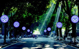 Tết này, đường phố Hà Nội sẽ được trang trí hiện đại, thanh lịch hơn?