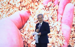 Đề xuất cung cấp gạo không chất bảo quản, rẻ hơn 10% cho TP.HCM