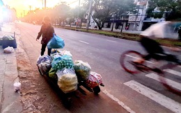 Sài Gòn dậy sớm - Kỳ 4: Cô hàng rau và cuộc mưu sinh từ 23h khuya