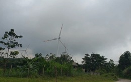 Chưa nghiệm thu, hai nhà máy điện gió vẫn được cấp phép vận hành thương mại