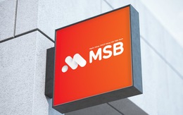 MSB An Giang chuyển địa điểm hoạt động