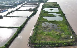 Cồn bãi sông Mekong - Kỳ 1: Cù lao Cá Lóc bảy nổi ba chìm