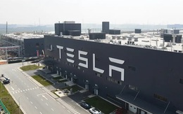 Thành công rực rỡ nhờ hạ giá xe, Tesla tăng giá trở lại sau đúng một tháng
