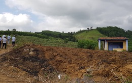 Vì sao dự án trồng rừng 270 ha ở Phú Yên 17 năm không 'động đậy'?