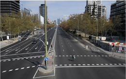Thủ đô Madrid hủy kế hoạch chặt cây xanh để mở rộng tuyến tàu điện ngầm