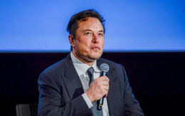 Lo AI... nguy hiểm, Elon Musk tìm giải pháp thay thế ChatGPT