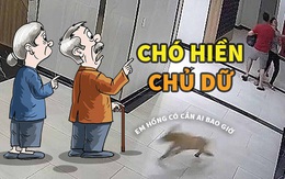 Chó nhà tôi hiền lắm, tôi mới dữ!