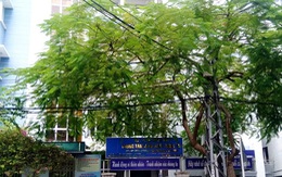 Khánh Hòa chuyển Trung tâm Kiểm soát bệnh tật khỏi TP Nha Trang