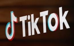 Anh cấm TikTok trên điện thoại chính phủ, TikTok thất vọng