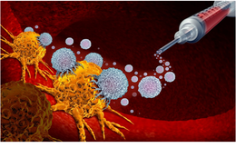 Tiêm vi khuẩn vào khối u giúp kích hoạt hệ miễn dịch chống lại ung thư