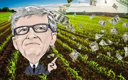 Bill Gates giải thích lý do mình mua quá nhiều đất nông nghiệp