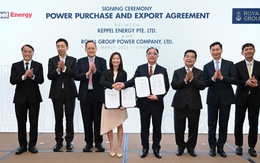 Doanh nghiệp Việt nhập cuộc cung cấp năng lượng tái tạo cho Singapore